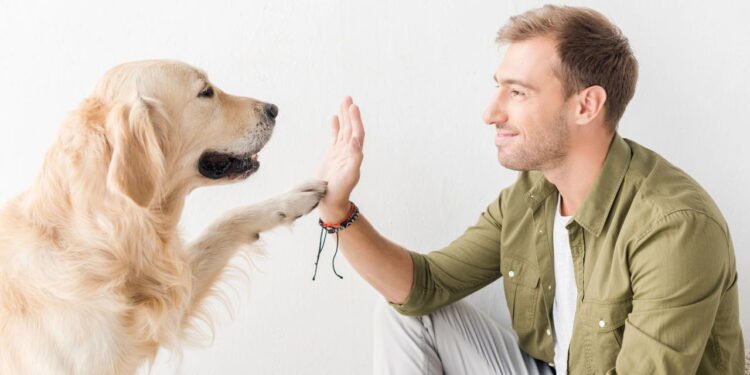 Cachorro - Créditos: depositphotos.com / IgorVetushko