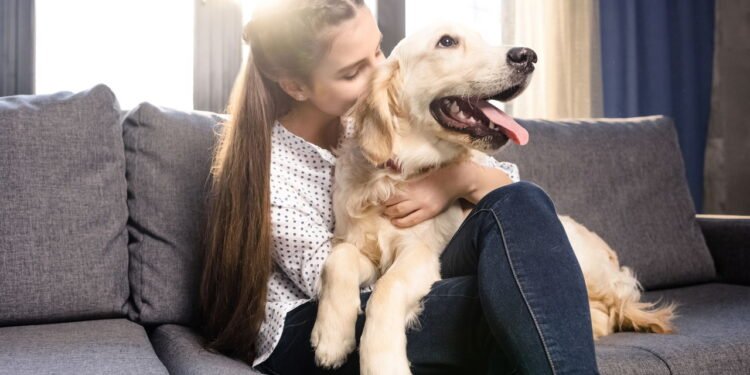6 sinais de que seu cachorro odeia ser abraçado