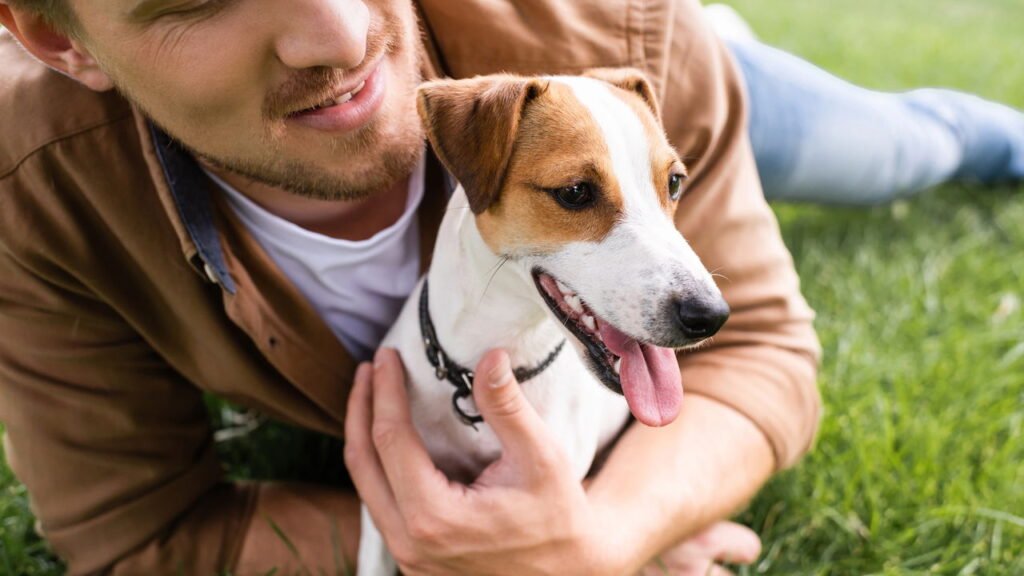 Evite erros graves ao soltar o cão da coleira. Aprenda como garantir segurança, obediência e tranquilidade nos passeios.

