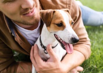 Evite erros graves ao soltar o cão da coleira. Aprenda como garantir segurança, obediência e tranquilidade nos passeios.