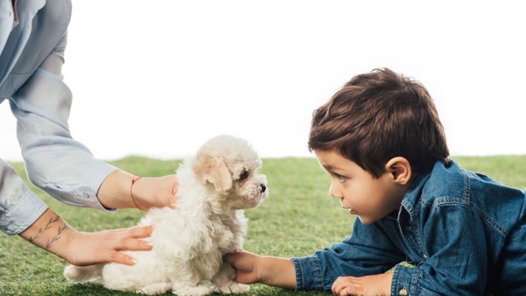 5 sinais de que seu filho está pronto para ter um cachorro