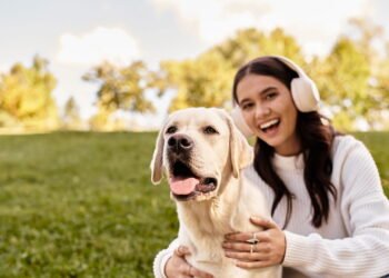 5 truques infalíveis para acabar com pelos de cachorro nas roupas