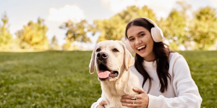 5 truques infalíveis para acabar com pelos de cachorro nas roupas