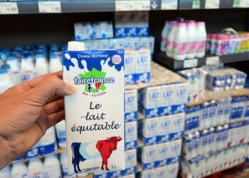 Essa ideia com caixas de leite está fazendo sucesso entre artesãos