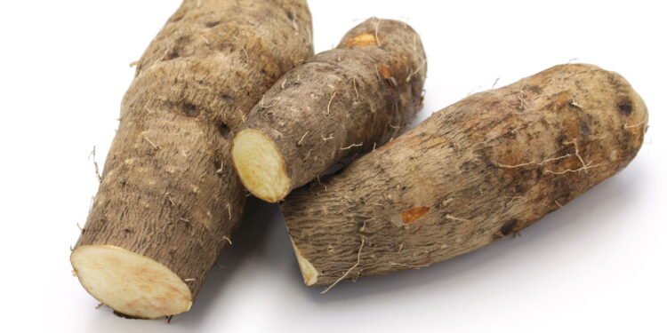 Cará - Créditos: depositphotos.com / asimojet