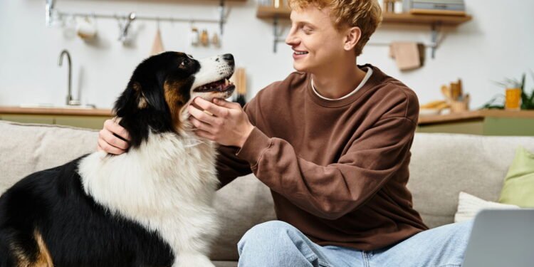 O que significa quando algumas pessoas acariciam cães com frequência? Veja o que a psicologia explica