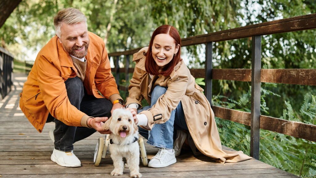 O que significa quando algumas pessoas acariciam cães com frequência? Veja o que a psicologia explica