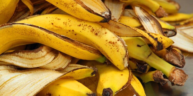 Conheça os benefícios incríveis do fertilizante de casca de banana nas plantas