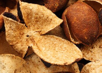 Colocar cascas de tangerina ao sol traz benefícios que você não imagina