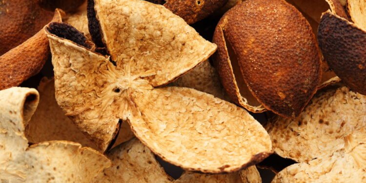 Colocar cascas de tangerina ao sol traz benefícios que você não imagina