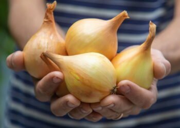 Você nunca mais vai jogar cascas de alho e cebola no lixo