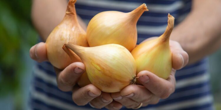 Você nunca mais vai jogar cascas de alho e cebola no lixo