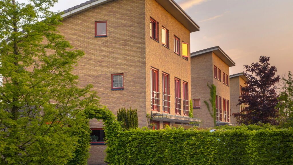 As quatro plantas que deixam seu jardim mais bonito e quase sem manutenção