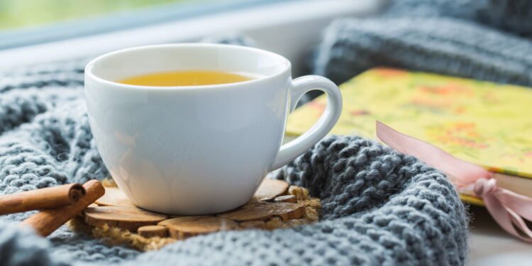 Esses são os melhores chás para quem quer emagrecer com saúde, veja detalhes