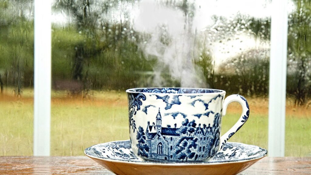 O que a ciência diz sobre o chá de camomila vai te surpreender