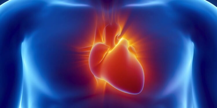 Seis exercícios de cinco minutos para melhorar a sua saúde cardiovascular