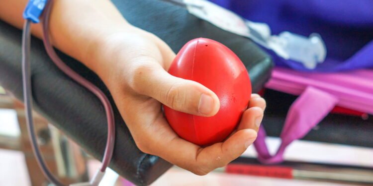 Doar sangue - Créditos: depositphotos.com / weerapat