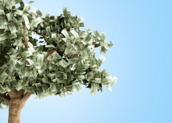 Como plantar dinheiro-em-penca em casa e trazer prosperidade?