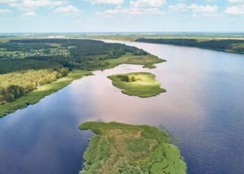 Por que a vida se concentra em certos lugares e desaparece em outros