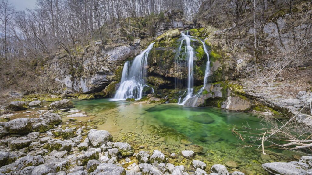 Por que a vida se concentra em certos lugares e desaparece em outros