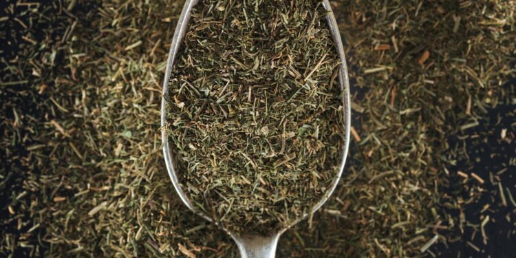 Erva-doce - Créditos: depositphotos.com / VadimVasenin