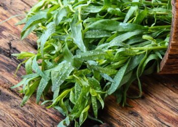 O tempero mais elegante da França que quase ninguém conhece