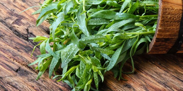 O tempero mais elegante da França que quase ninguém conhece