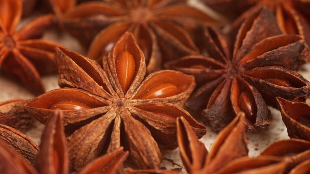 Conheça os segredos para produzir estrela-de-anis em casa