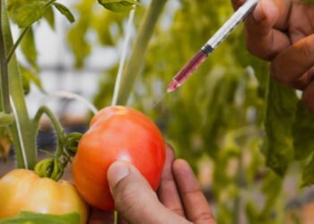 Você nunca mais vai jogar fora a casca do tomate depois disso