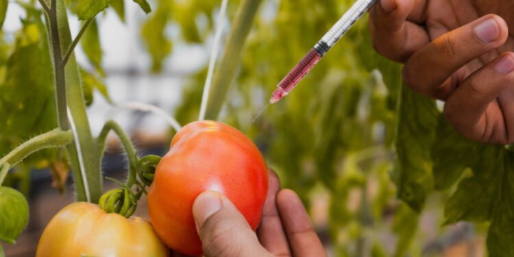 Você nunca mais vai jogar fora a casca do tomate depois disso