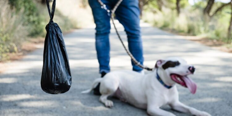 Fezes de cães -Créditos: depositphotos.com / nito103