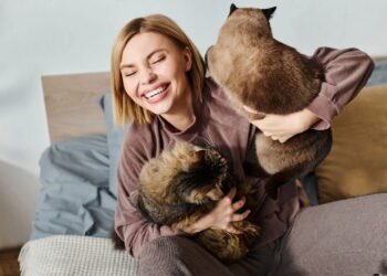 O que significa quando seu gato morde você segundo veterinários