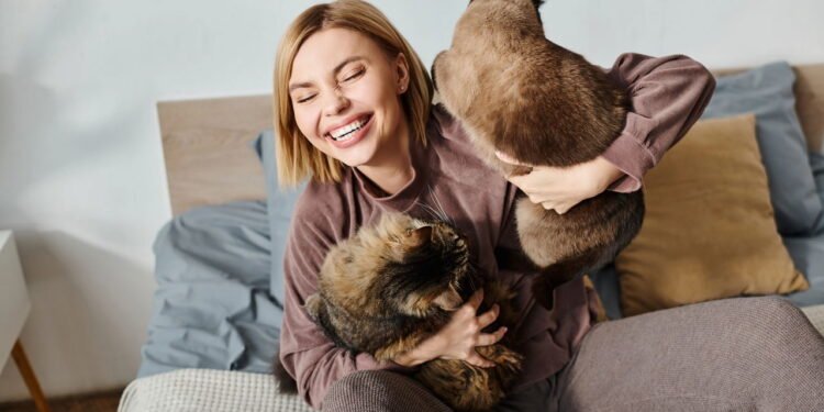 O que significa quando seu gato morde você segundo veterinários