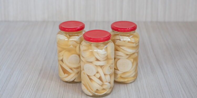 Passo a passo para cuidar da guariroba e garantir boa colheita