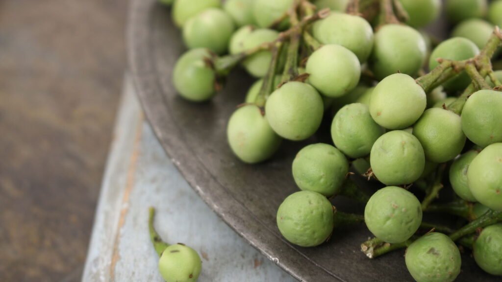 Cultive a planta brasileira que ajuda a tratar problemas do fígado