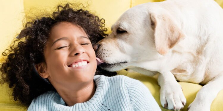 Lambida de cachorro - Créditos: depositphotos.com / HayDmitriy