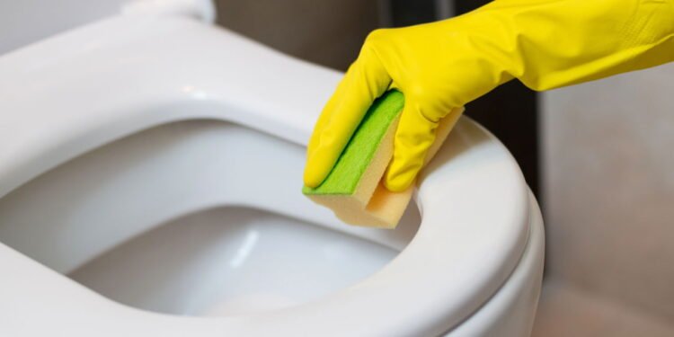 O truque pouco conhecido para manter seu vaso sanitário limpo por mais tempo