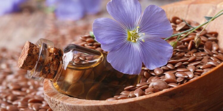 Linhaça - Créditos: depositphotos.com / lenyvavsha