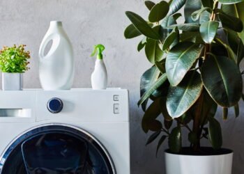 5 cuidados simples que evitam mofo na sua máquina de lavar