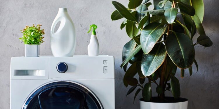 5 cuidados simples que evitam mofo na sua máquina de lavar