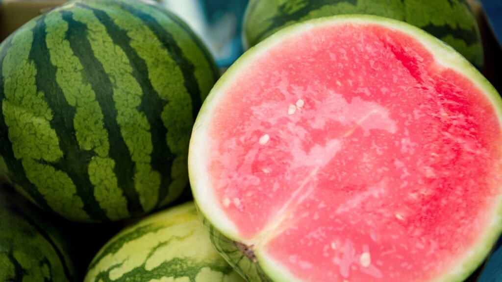 Melancia no quintal está virando tendência entre cultivadores urbanos