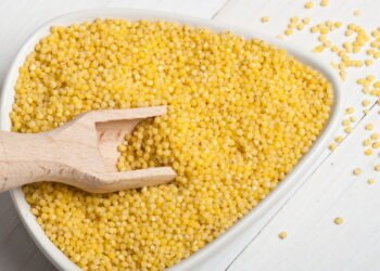 Esse ceral foi completamente esquecido, mas é muito nutritivo