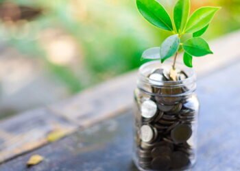 Como um item comum da sua carteira pode salvar suas flores cortadas