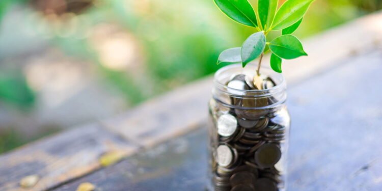 Moeda em vaso - Créditos: depositphotos.com / anut21ngphoto