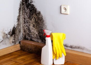 Guia completo e definitivo para prevenir mofo na casa com ações simples