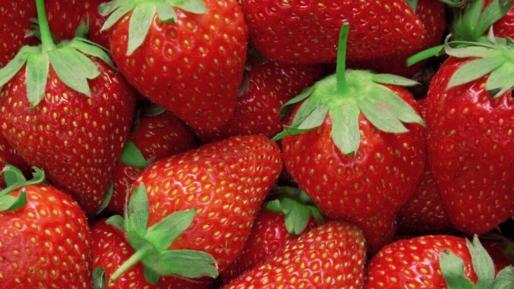 A melhor forma de lavar morangos sem perder o sabor