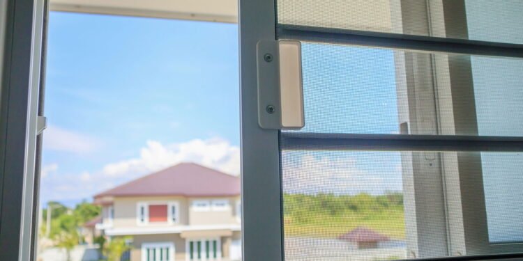 Mosquiteiros - Créditos: depositphotos.com / Kwangmoo