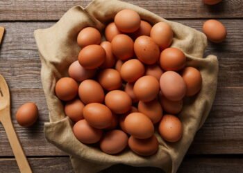 Como este selo garante ovos sem salmonela na hora da compra