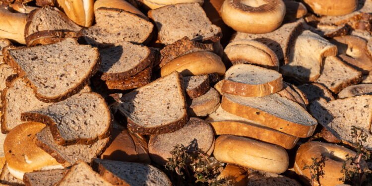 Não jogue o pão seco fora nunca mais, veja dicas de como reutilizar