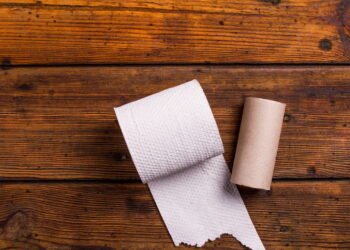 Você nunca mais vai jogar fora o tubo do papel higiênico depois disso